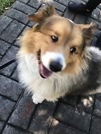 Ramada by Wyndham New Iberia