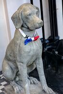 Best Western Plus Delmere Hotel