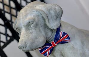 Best Western Plus Delmere Hotel