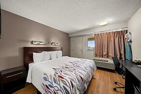 Red Roof Inn Dallas - DFW Airport North