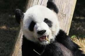 Courtyard by Marriott Memphis Airport