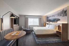 Starlite Yellowstone, Tapestry Collection by Hilton
