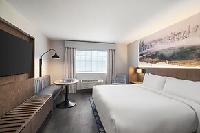 Starlite Yellowstone, Tapestry Collection by Hilton