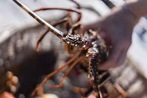 Sofitel Golfe Ajaccio Thalassa Sea & Spa