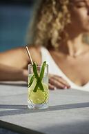 Sofitel Golfe Ajaccio Thalassa Sea & Spa