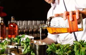 Fairmont Scottsdale Princess