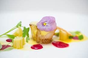 Biltmore Hotel - Miami - Coral Gables