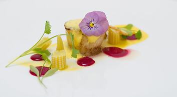 Biltmore Hotel - Miami - Coral Gables