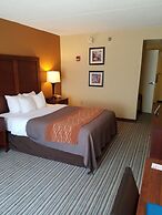 Comfort Inn at the Park