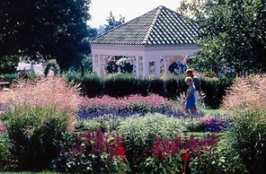 Comfort Inn at the Park