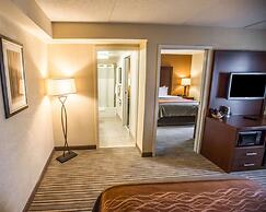 Comfort Inn at the Park