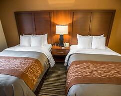 Comfort Inn at the Park