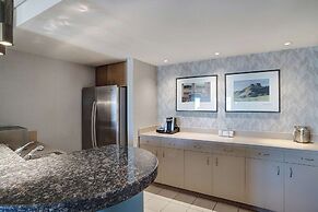 Hyatt Regency DFW International Airport - Adjacent to Terminal C