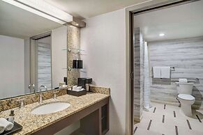 Hyatt Regency DFW International Airport - Adjacent to Terminal C