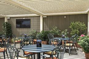 Marcella Royal Hotel - Rooftop Garden