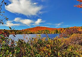 Best Western Saranac Lake
