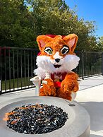 Country Cascades Waterpark Resort