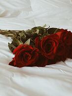 Chicago Marriott Naperville