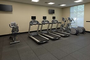 Hampton Inn & Suites Asheville Biltmore Village