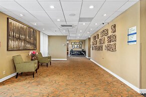 Forest Park Hotel by MDR
