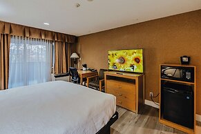 SureStay Plus by Best Western Coquitlam