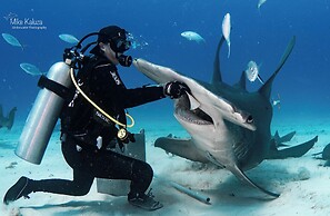 Bimini Big Game Club Resort & Marina