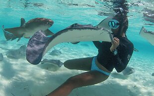 Bimini Big Game Club Resort & Marina