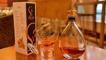 Peninsula All-Suite Hotel by Dream Resorts