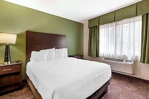 Best Western Plus New Ulm