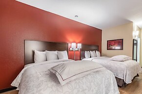 Red Roof Inn PLUS+ & Suites Houston - IAH Airport SW