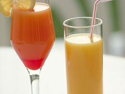 Novotel Blois Centre Val de Loire Hotel