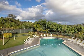 Banyan Harbor Resort