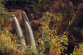 Banyan Harbor Resort