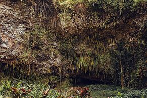 Banyan Harbor Resort