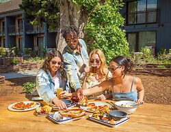 Treehouse Hotel Silicon Valley