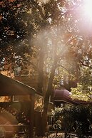 Viceroy Washington DC