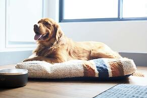 Hotel Alpenrock Breckenridge, Curio Collection by Hilton