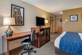 Comfort Inn Shady Grove - Gaithersburg - Rockville