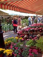 ibis Nice Centre Notre Dame