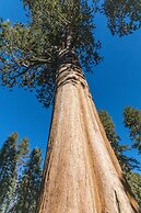Visalia Marriott at the Convention Center