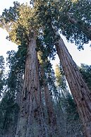Visalia Marriott at the Convention Center