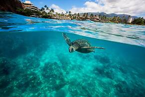 Sheraton Maui Resort & Spa