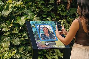 Sheraton Maui Resort & Spa