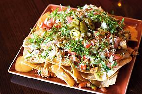 Houston Airport Marriott at George Bush Intercontinental