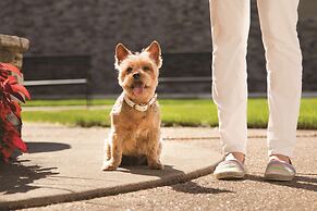 Hyatt Place Chicago/O'Hare Airport