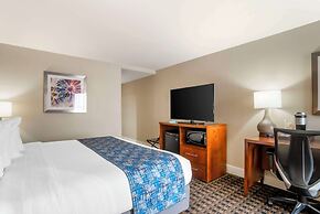 Best Western Plus Greenville I-385 Inn & Suites