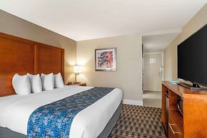 Best Western Plus Greenville I-385 Inn & Suites