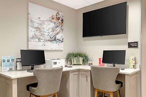 Best Western Plus Greenville I-385 Inn & Suites