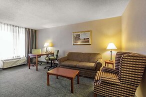 Quality Inn & Suites McDonough South I-75
