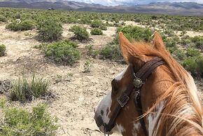 Westward Look Wyndham Grand Resort and Spa
